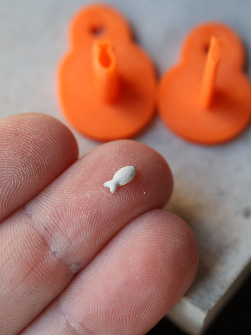 Micro - Fish